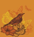 Floral background with a bird blackbird, blooming