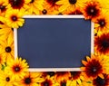 Floral background. Black-eyed susan or Rudbeckia hirta plant, brown betty, gloriosa daisy, golden Jerusalem. Black framed chalkboa