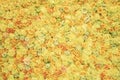 Floral background. Bright fresh yellow flowers of roses, colorful natural composition