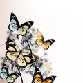 Floral background with butterflies and dandelions