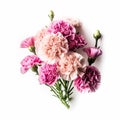 Floral background of carnations flowers close up on white Royalty Free Stock Photo