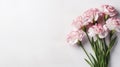 Floral background of carnations flowers close up on white Royalty Free Stock Photo