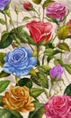 Floral Background, Colorful Rose and Flowers.