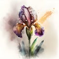 Floral Background - Colorful Symphony of Nature