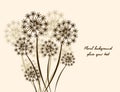 Floral background Dandelion