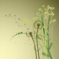 Floral background, dandelion
