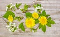 Floral background dandelions cherry.wooden beautiful light background. top view