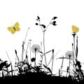 Floral background with dandelions, weeds and butterflies