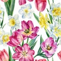 Floral background, flowers tulips, daffodils, watercolor illustration, seamless pattern