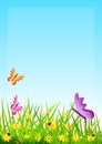 Floral background with herbs and small flowers, butterflies and ladybugs. Illustration.