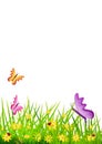 Floral background with herbs and small flowers, butterflies and ladybugs. Illustration.