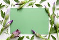 Floral background Royalty Free Stock Photo