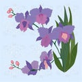 Floral background with iris. Royalty Free Stock Photo