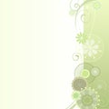 Floral background in light green