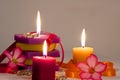 Floral Background with lighted candles Royalty Free Stock Photo