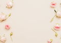 Floral background pink rose buds peach background Royalty Free Stock Photo