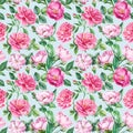 Floral background. Pink roses, seamless patterns, watercolor painting flowers Royalty Free Stock Photo