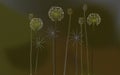 Floral background, poppys and dandelions - Desktop wallpaper Royalty Free Stock Photo
