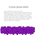 Floral background with purple violet flowers below on white, lorem ipsum, stock Royalty Free Stock Photo