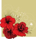 Floral background with red hibiscus
