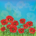 Floral background with red poppies