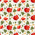 Floral background. Red poppy vector. Summer seamless pattern Royalty Free Stock Photo