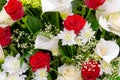 Floral background, red and white flowers closeup.