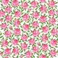 Floral background with roses