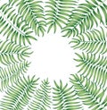 Floral background. Summer leaves flourish border. Plam leafe frame vector illustration