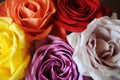 Floral background. Texture of multicolored roses closeup Royalty Free Stock Photo
