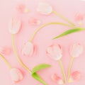 Floral background with tulips flowers on pink pastel background. Flat lay, top view. Spring time background. Royalty Free Stock Photo