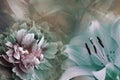 Floral background of turquoise lily and green-violet peony. Flowers close-up on a pink-turquoise background. Flower composition