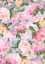 Floral background with watercolor flowers of roses Royalty Free Stock Photo