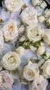 Floral background. White flowers. White roses and white peonys. Floral carpet. Floral pattern. white roses.