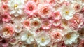 Floral background of wild roses. Lots of densely placed heads of fresh delicate roses in pastel colors. White, pink colors