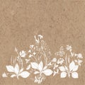 Floral background with wildflowers, herbs, bees,butterfly and space for text on kraft paper. Invitation, greeting card