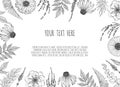 Floral backgrounds with hand drawn herbs and wildflowers. Monochrome vector illustration in sketch style. Royalty Free Stock Photo