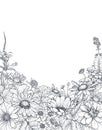 Floral backgrounds with hand drawn wildflowers and plants. Monochrome vector illustration Royalty Free Stock Photo