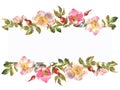 Watercolor hand painted wild rose floral banner isolated on white background. Royalty Free Stock Photo