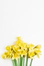 floral banner. beautiful bouquet of fresh daffodils of yellow color on a white background. simple holiday spring greeting card.