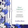 Floral banner with blue cornflowers. Ink drawn vector illustration for greetings and invitations