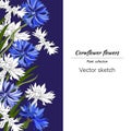 Floral banner with cornflowers. Vector hand-drawn illustration frame for text, presentations and invitations