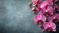 floral banner design, add a touch of elegance to your banner with a captivating display of orchids, creating a beautiful