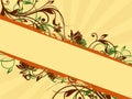 Floral banner ornaments Royalty Free Stock Photo