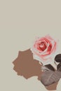 Floral banner. Pink rose with deep shadows on cream retro background