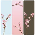 Floral banners Royalty Free Stock Photo