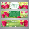 Floral banners. Greeting invitation with Roses Beautiful Blurred Lights with Butterflies. Vector illustration Royalty Free Stock Photo