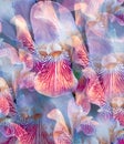 Floral beautiful  blue-purple irises background. Close-up. Royalty Free Stock Photo