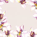Floral beige background with white orchid flower. Hand painted aquarell drawing