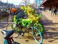 Floral bicycle on the Dutch canals among many other bicycles in a parking lot Royalty Free Stock Photo
